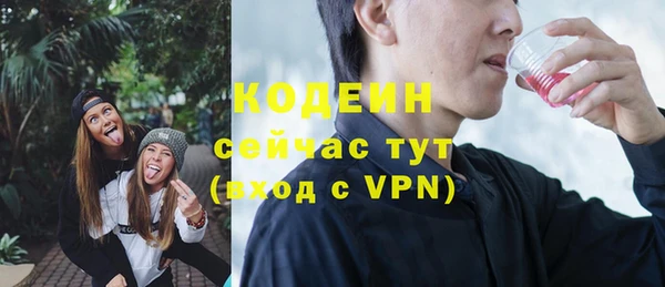 хмурый Липки