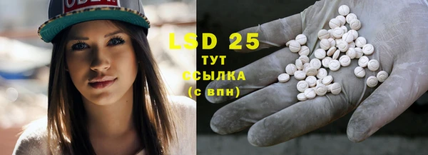 ПСИЛОЦИБИНОВЫЕ ГРИБЫ Лагань