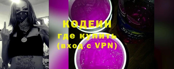 хмурый Липки
