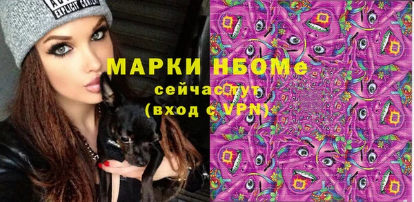 хмурый Липки