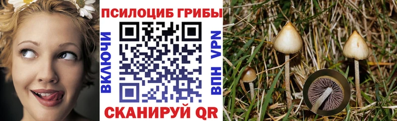 Галлюциногенные грибы Magic Shrooms  что такое наркотик  Шахунья 